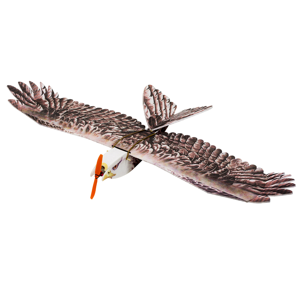 DW Hobby Eagle II EPP avión RC - Rc Hobby Kit reseña y precio
