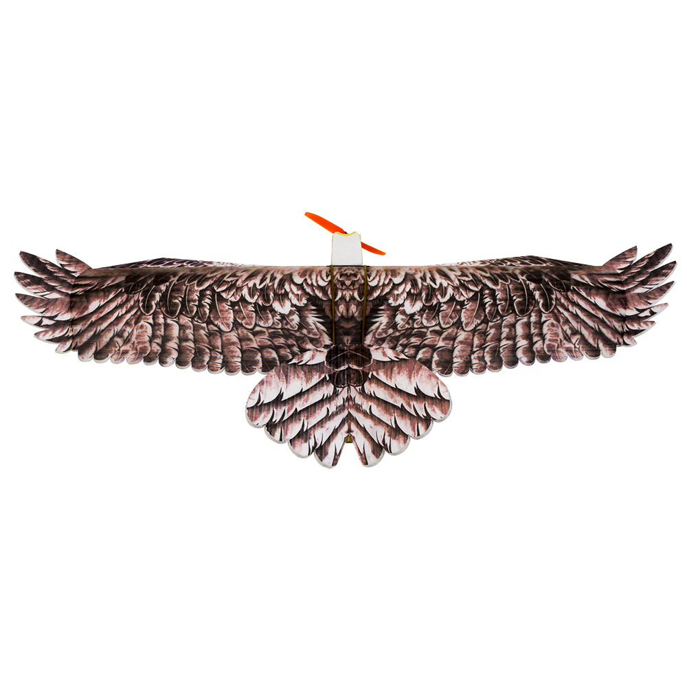 DW Hobby Eagle II EPP avión RC - Rc Hobby Kit reseña y precio